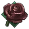 Beautiful trait icon