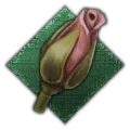 Comely trait icon
