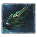 Forgiving trait icon